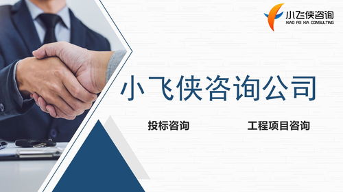 河南小飛俠企業(yè)管理咨詢 專業(yè)服務(wù)助力企業(yè)高效發(fā)展
