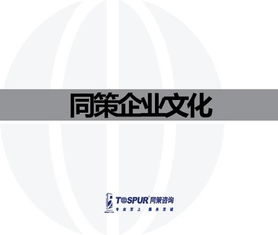 致客戶的承諾——做值得托付的房地產智囊\n副標題 某房地產咨詢服務公司企業文化重塑行動綱要文件（內部審核版）\n\n**第2-3頁 我們的行業信念**\n? 房地產不僅是鋼筋水泥，更是城市靈魂的載體?！拔覀冏鹬孛恳粔K土地的基因?！盶n? 唯一不變的是變化與專業。核心命題 從增長邏輯轉向價值邏輯的生存之道。\n\n**第4-5頁 使命定義**\n我們存在的根本原因 “賦能不動產全周期，讓投資回歸價值本質。”（注 在供給側改革與去金融化大背景下，幫助客戶甄別泡沫，專注抗周期真理。）\n\n**第6-8頁 戰略