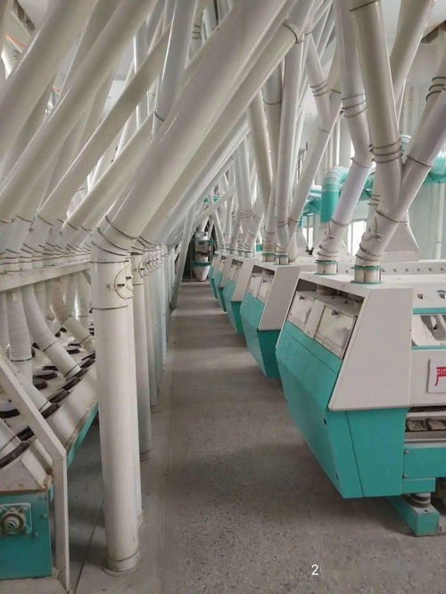 梁山縣新豐面粉廠 誠邀全國經(jīng)銷商，共拓勞動(dòng)保護(hù)用品銷售新藍(lán)海